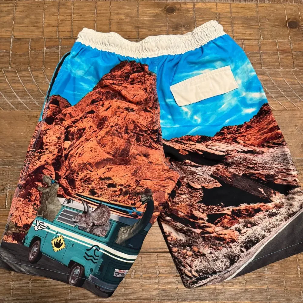 Lot of 2 Boys Swim Trunks Wonder Nation L 10-12 Dinosaur Surf Boards Twins